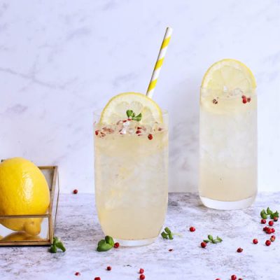 cocktail Aphrodisiaque gin et citron