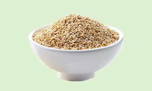 illustration quinoa